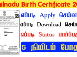 Tamil Nadu Birth Certificate Online